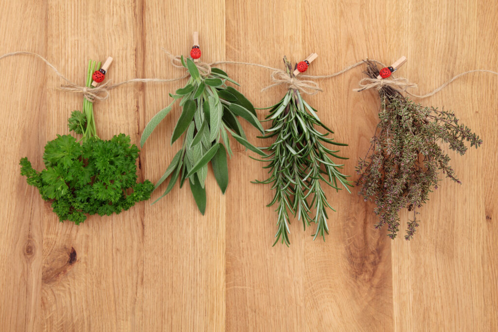 air drying herbs by tying them into small bunches and then hanging in upside down on a string