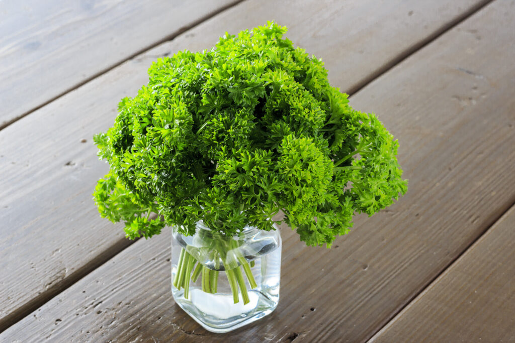 fresh herbs in jar with water